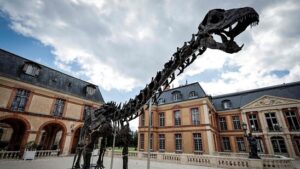 Dinosaurier-Skelett für sechs Millionen Euro versteigert