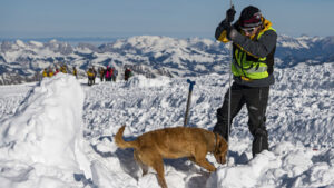 Zwei Menschen sterben bei Lawinenabgang in Österreich