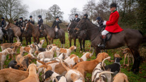 Laute Forderungen nach Jagdverbot in England