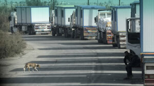 Lkw bringen weitere Hilfsgüter und Treibstoff nach Gaza