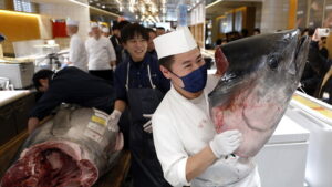 1,28 Millionen Euro für Thunfisch bei Neujahrsauktion in Tokio